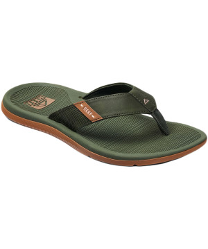Olive-Gum-swatch